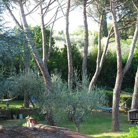 Bed & Breakfast Fiorenza Firenze