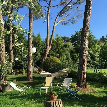 Bed & Breakfast Fiorenza 3*