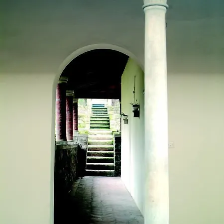 Fiorenza 3*